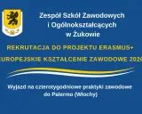 Dynia na obiad: 15+ łatwych i inspirujących przepisów na cały rok!